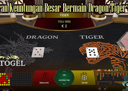 Tawaran Keuntungan Besar Bermain Dragon Tiger Online